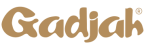 logo (1)